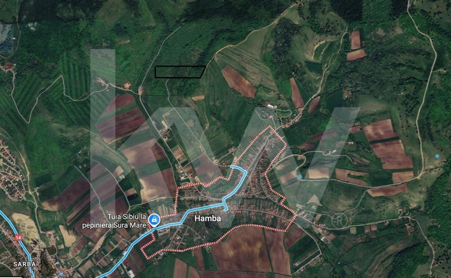 Teren agricol extravilan de 38400 mp, în Hamba