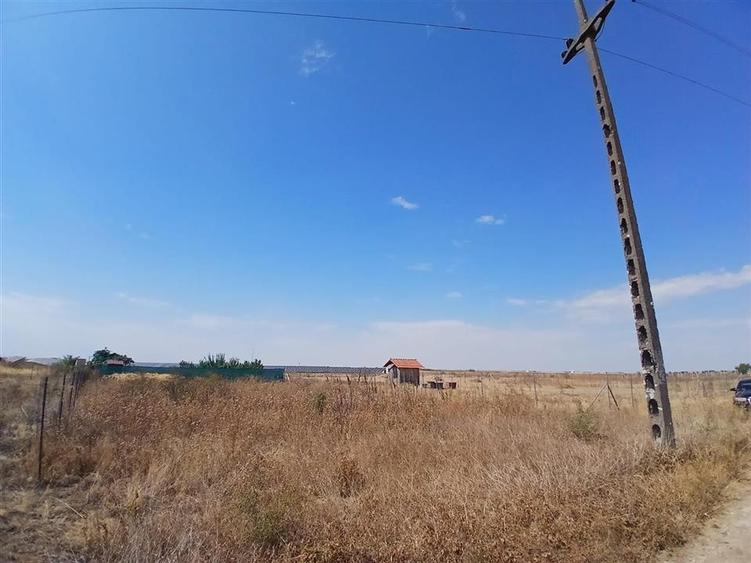 RECO Teren intravilan 500 mp  Livada de bihor - 1