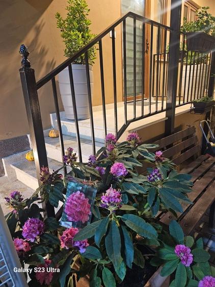 Apartament cu 2 camere semidecomandat în Semicentral