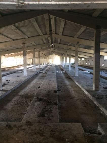 Teren Construcții intravilan de 26395 mp, în Șimnicu de Sus