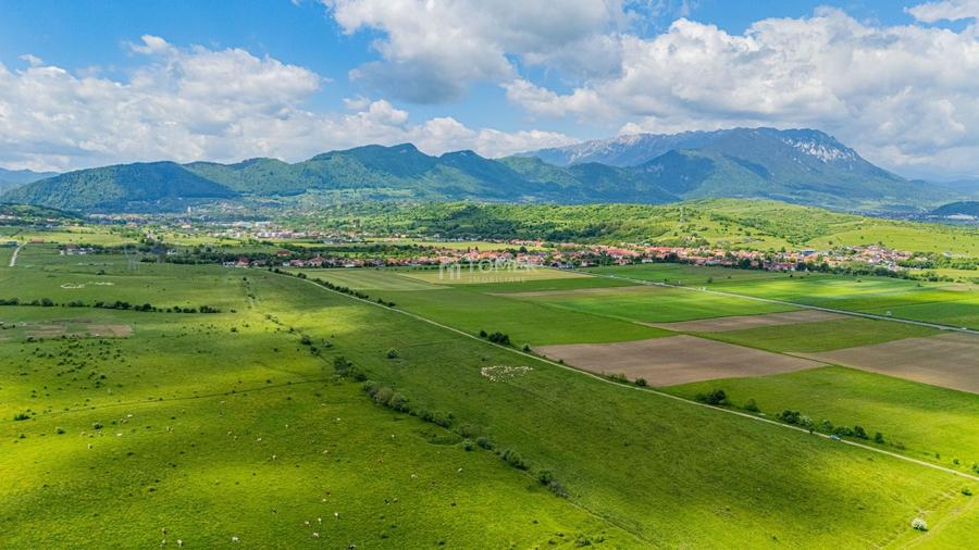 Teren agricol extravilan de 5800 mp, în Tohanu Nou