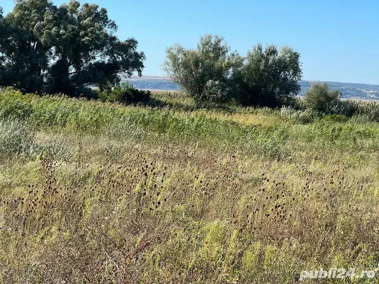 Teren de 3300 mp, în Central