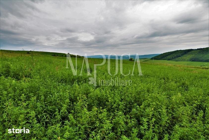 Teren de 8150 mp, în Baciu