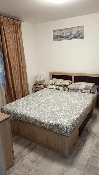 Casa Vii?oara 115000euro negociabil - 4