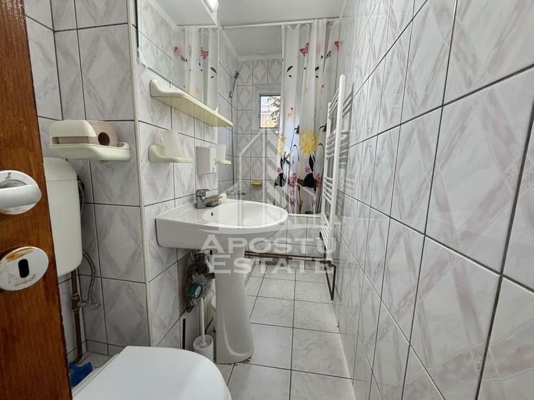 Apartament cu 2 camere semidecomandat, mobilat în Șagului