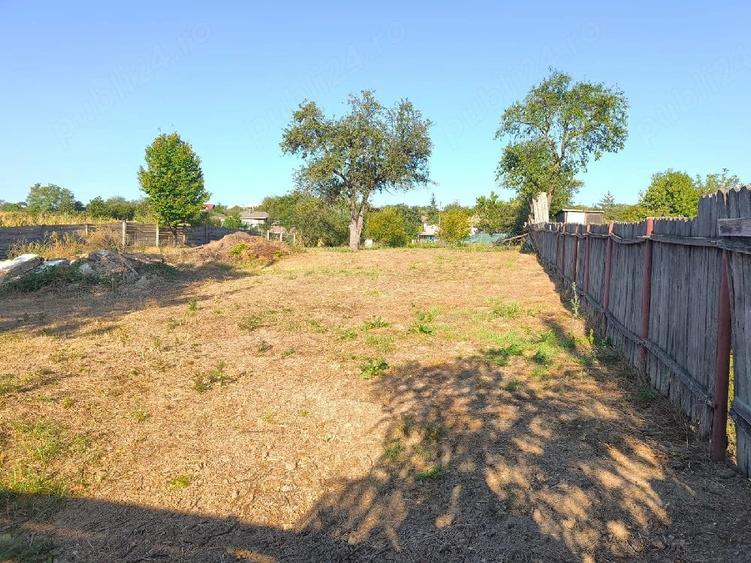 Teren de 1560 mp, în Ciurea
