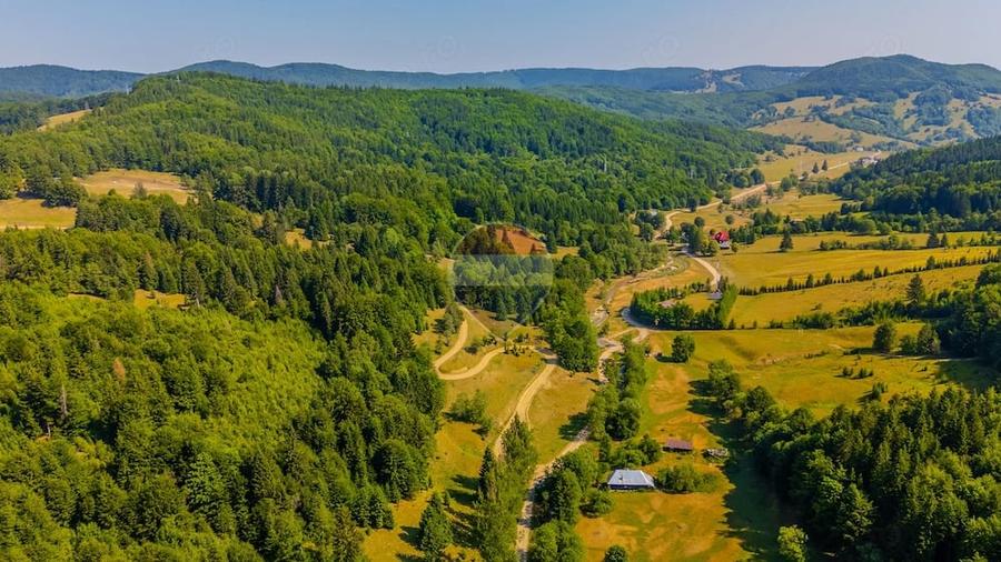 Teren de 6000 mp, în Dălghiu