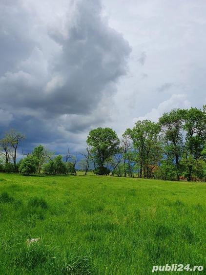 Teren în Dragșina