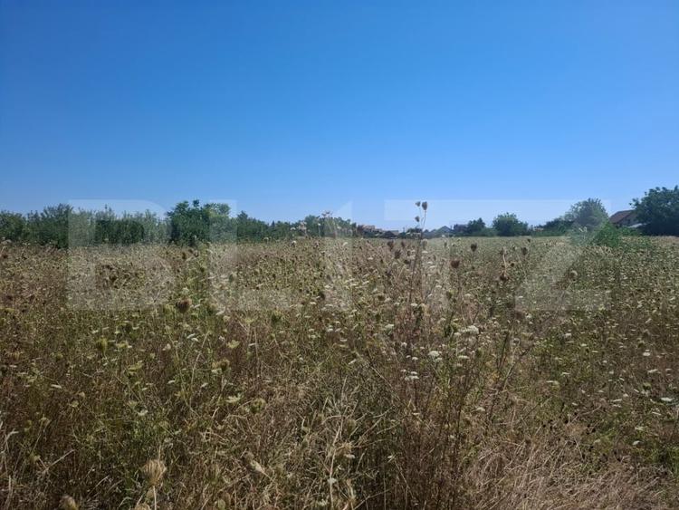 Teren Construcții extravilan de 3000 mp, în Dumbrava