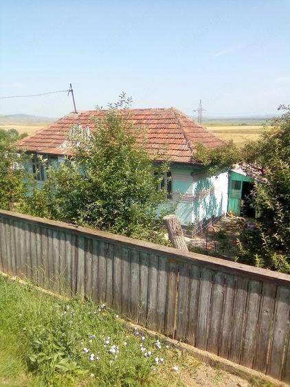 Casă cu Teren 8000 Mp în Gorban