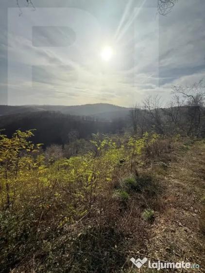 Teren de 8271 mp, în Cerbăl