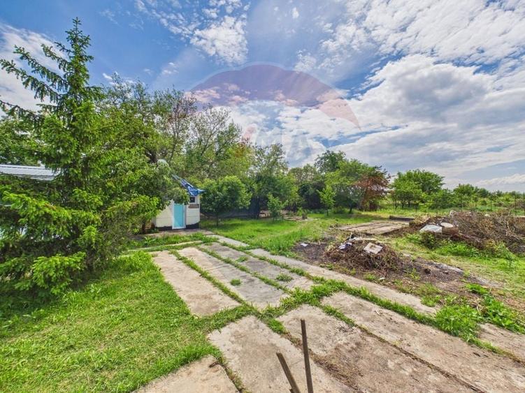 Casă 65 mp + teren 4000 mp, livadă, Butimanu - 22