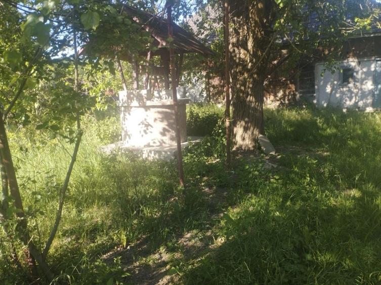 Casă cu 2 camere în Buciumi