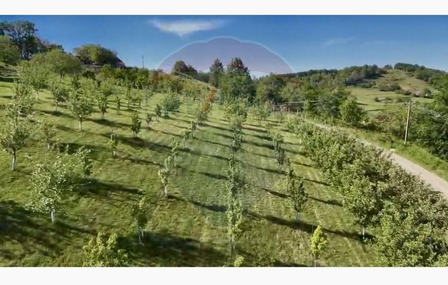 Teren agricol intravilan de 20170 mp, în Șuncuiuș