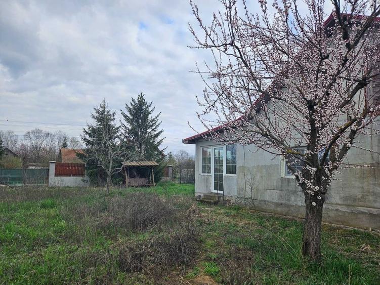 Vand casa cu teren generos la Sacosu Turcesc - 8