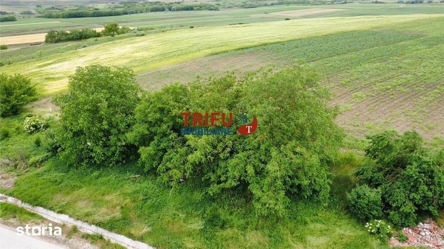 Teren de 2900 mp, în Obreja