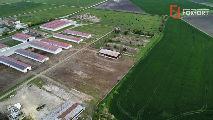 Teren Construcții intravilan de 58340 mp, în Sânmartinu Sârbesc