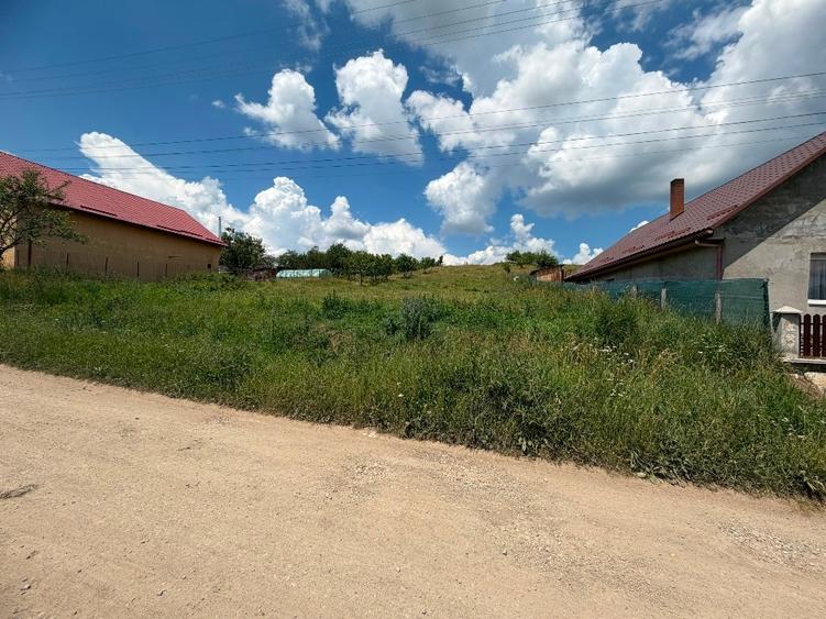 Teren Construcții intravilan de 3834 mp, în Vultureni