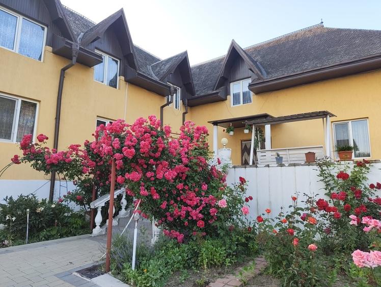 Casa, 380 mp, in Suceava, cartier Burdujeni, zona buna - 5