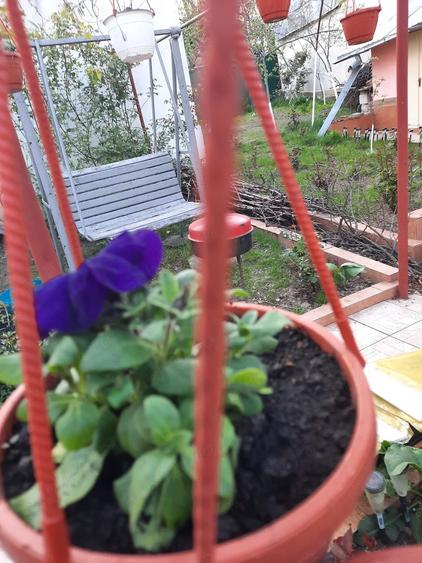 Casă cu 2 camere cu Teren 437 Mp în Mazepa 2