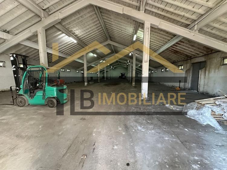 Spațiu industrial, de 1,061 mp, în Dumbrăvioara