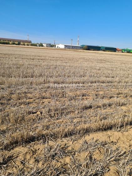 Teren industrial 66400 mp