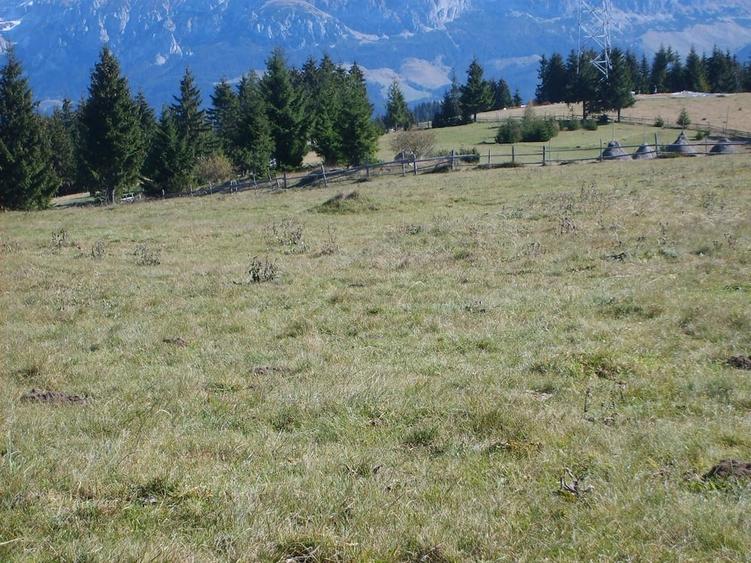 Teren de 717 mp, în Fundata