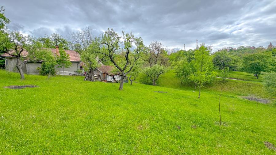 Teren agricol intravilan de 1500 mp, în Bran
