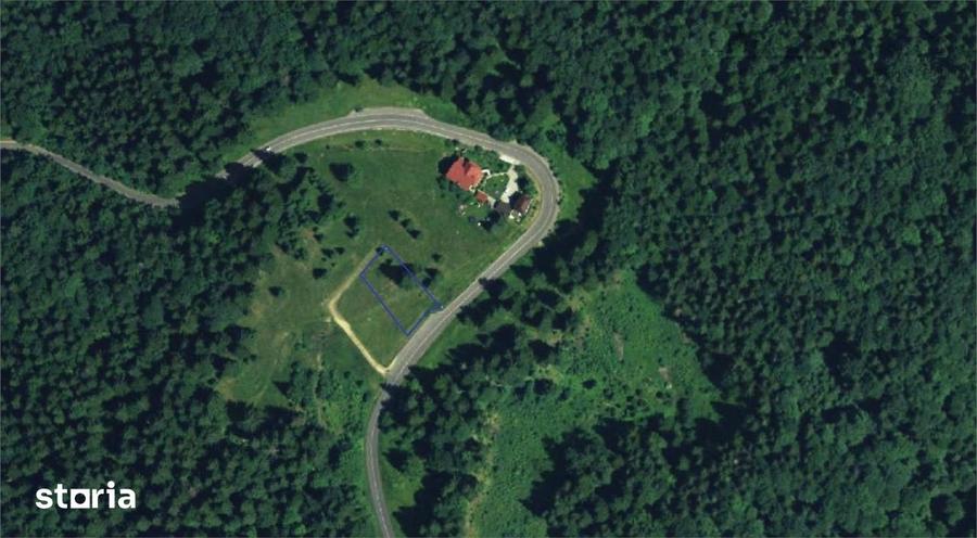 Teren de 2000 mp, în Clăbucet