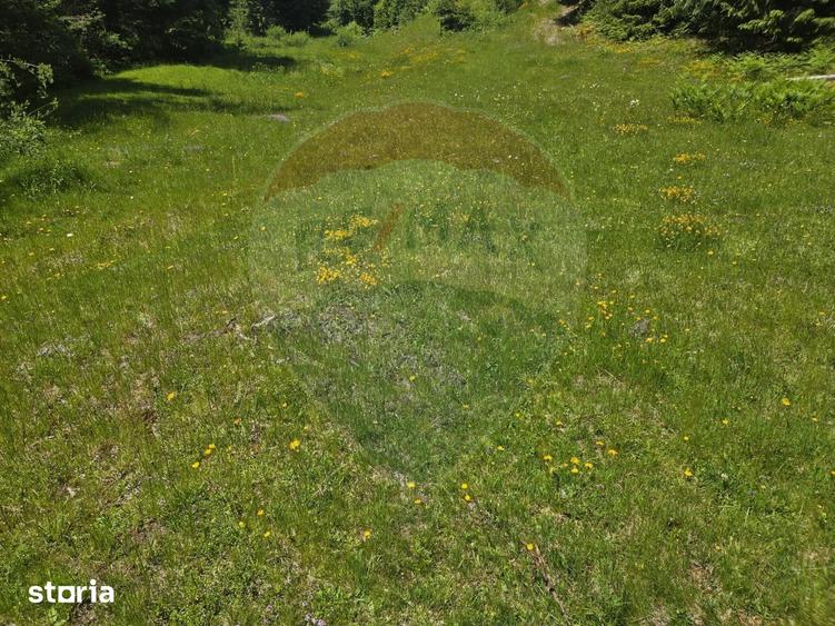 Teren de 2966 mp, în Arieșeni