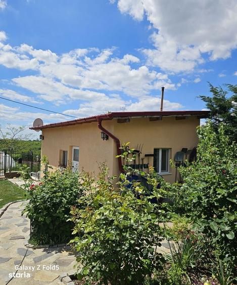 Casa noua Podgoria, 1035 mp teren - 5