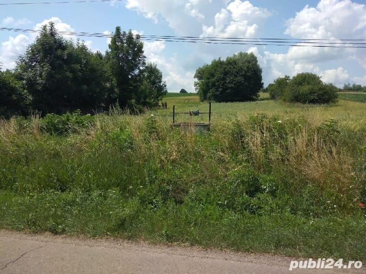 Teren de 3600 mp, în Grămești