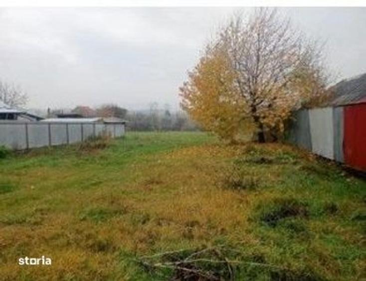 Spațiu comercial, în Dochia