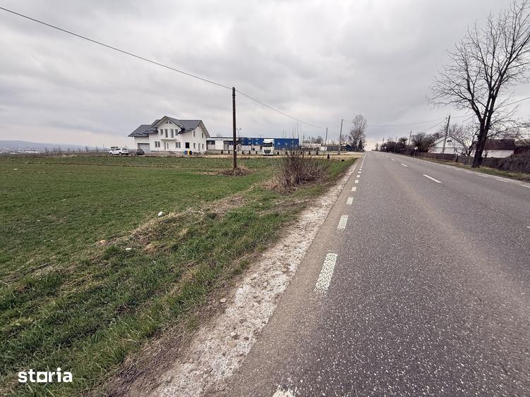 Teren de 3255 mp, în Grănicești