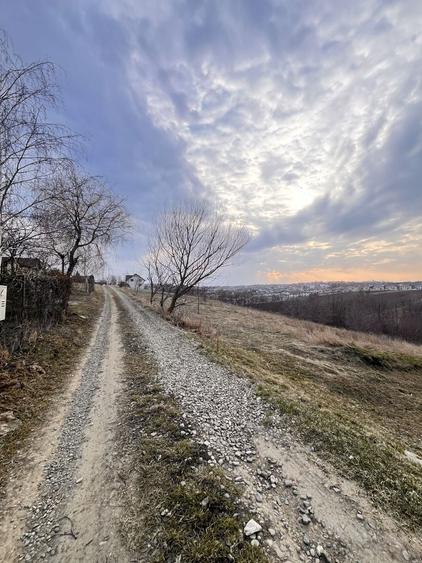 Teren agricol intravilan de 2526 mp, în Tișăuți