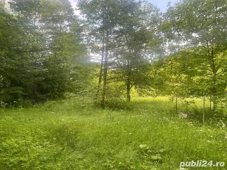 Teren de 1450 mp, în Dejani
