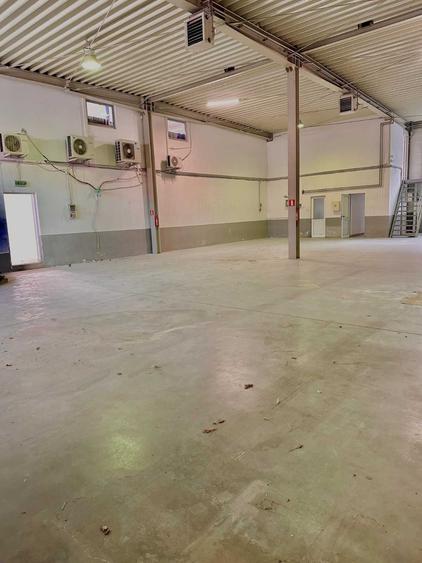 Spațiu comercial, de 450 mp, în Micălaca