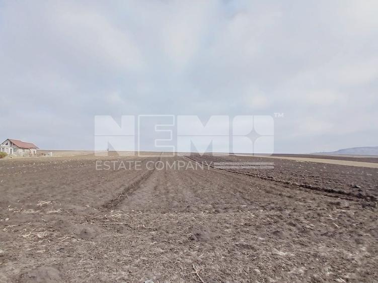 Teren agricol intravilan de 7700 mp, în Moara