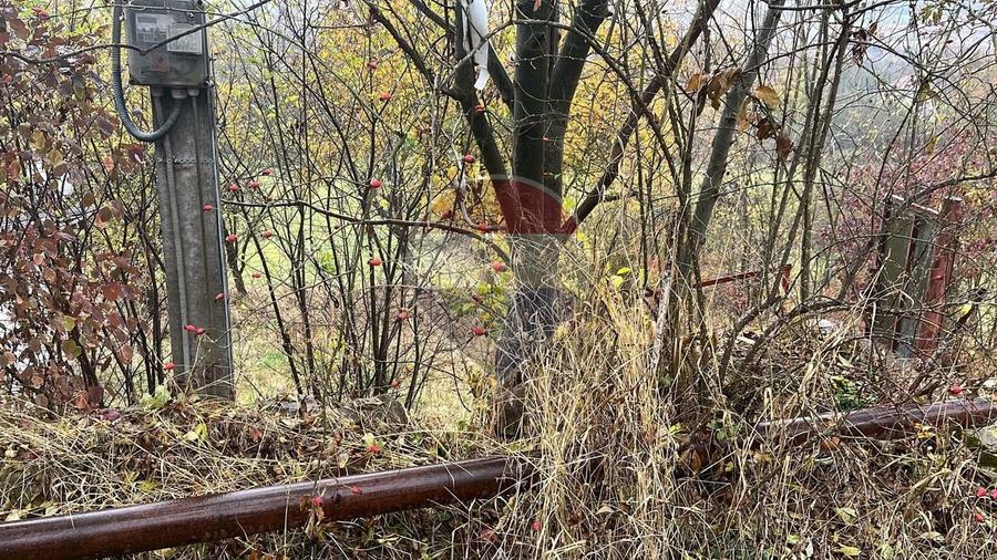 Teren Construcții intravilan de 2794 mp, în Micești