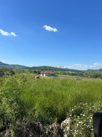 Teren Construcții intravilan de 12000 mp, în Nord