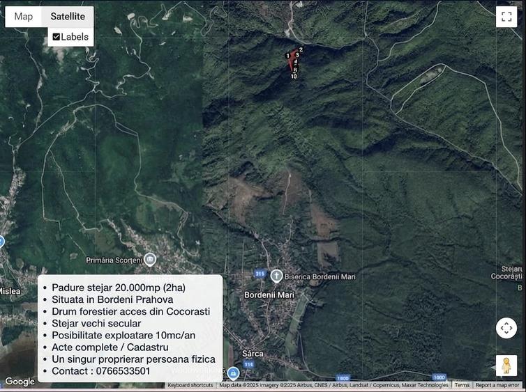 Teren de 20000 mp, în Bordenii Mari