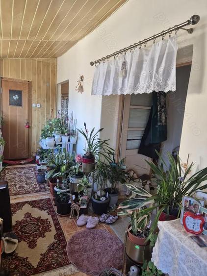 Casa de vanzare Calea Ghirodei Timisoara - 1