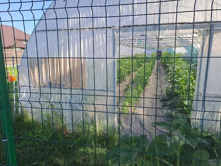 Teren pentru casa sos.Unirii nr 198 Caciulati - 4