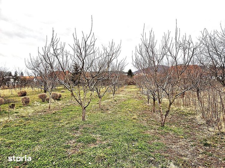 Casă cu 5 camere cu Teren 1167 Mp în Sânpetru