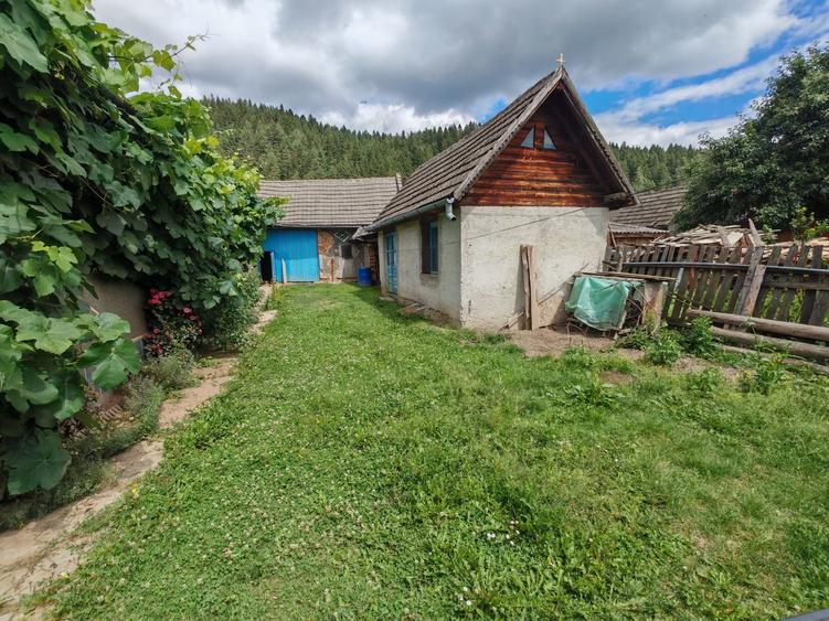Casă cu 4 camere în Sita Buzăului