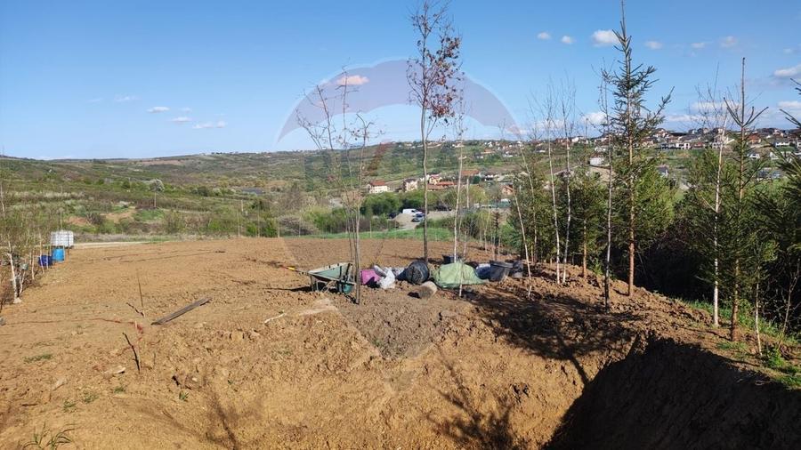 Teren Construcții intravilan de 1200 mp, în Săldăbagiu de Munte