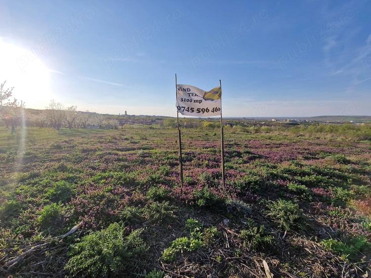 Teren de 3100 mp, în Paleu