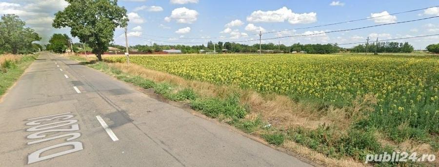 Teren de 5000 mp, în Cotorca