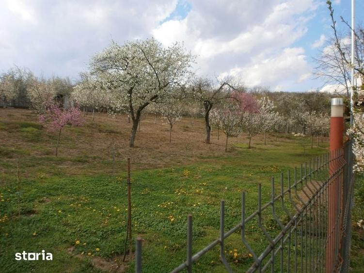 Vand casa cu gradina - 7