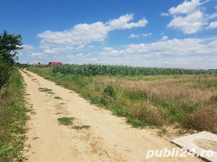 Teren de 5000 mp, în Malu Mare